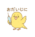 まるっとサザナミインコの日常（個別スタンプ：9）