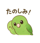 まるっとサザナミインコの日常（個別スタンプ：10）