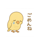 まるっとサザナミインコの日常（個別スタンプ：12）