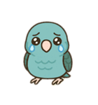 まるっとサザナミインコの日常（個別スタンプ：17）