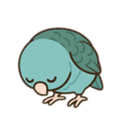 まるっとサザナミインコの日常（個別スタンプ：19）