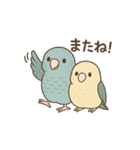 まるっとサザナミインコの日常（個別スタンプ：22）