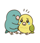 まるっとサザナミインコの日常（個別スタンプ：23）