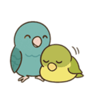まるっとサザナミインコの日常（個別スタンプ：24）