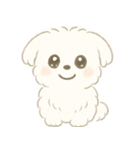 毎日使える！まっしろ、もふもふ犬の日常。（個別スタンプ：1）