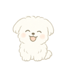 毎日使える！まっしろ、もふもふ犬の日常。（個別スタンプ：2）