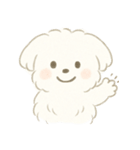 毎日使える！まっしろ、もふもふ犬の日常。（個別スタンプ：4）