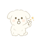 毎日使える！まっしろ、もふもふ犬の日常。（個別スタンプ：5）