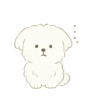 毎日使える！まっしろ、もふもふ犬の日常。（個別スタンプ：7）