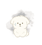 毎日使える！まっしろ、もふもふ犬の日常。（個別スタンプ：8）