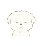 毎日使える！まっしろ、もふもふ犬の日常。（個別スタンプ：9）