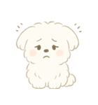 毎日使える！まっしろ、もふもふ犬の日常。（個別スタンプ：10）