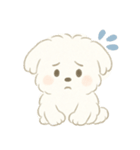 毎日使える！まっしろ、もふもふ犬の日常。（個別スタンプ：13）