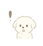 毎日使える！まっしろ、もふもふ犬の日常。（個別スタンプ：14）