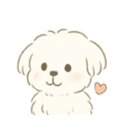 毎日使える！まっしろ、もふもふ犬の日常。（個別スタンプ：17）