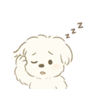 毎日使える！まっしろ、もふもふ犬の日常。（個別スタンプ：21）