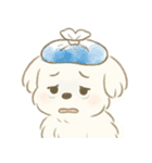 毎日使える！まっしろ、もふもふ犬の日常。（個別スタンプ：22）