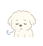 毎日使える！まっしろ、もふもふ犬の日常。（個別スタンプ：23）