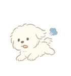 毎日使える！まっしろ、もふもふ犬の日常。（個別スタンプ：24）