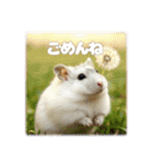 ハムスターこもちの日常（個別スタンプ：7）