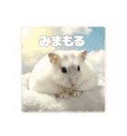 ハムスターこもちの日常（個別スタンプ：10）