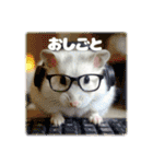 ハムスターこもちの日常（個別スタンプ：14）
