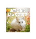 ハムスターこもちの日常（個別スタンプ：17）