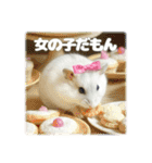 ハムスターこもちの日常（個別スタンプ：18）