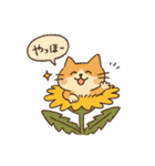 ゆるねこたちのほんわか毎日スタンプ①（個別スタンプ：2）