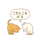 ゆるねこたちのほんわか毎日スタンプ①（個別スタンプ：12）
