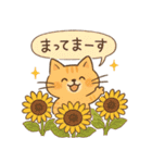 ゆるねこたちのほんわか毎日スタンプ①（個別スタンプ：19）