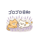 ゆるねこたちのほんわか毎日スタンプ②（個別スタンプ：1）