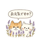 ゆるねこたちのほんわか毎日スタンプ②（個別スタンプ：2）