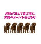 実家の犬スタンプ〜素敵〜（個別スタンプ：32）