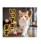 ねこ写真❤ポップで見やすい日常会話2（個別スタンプ：11）