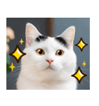 ねこ写真❤ポップで見やすい日常会話2（個別スタンプ：26）