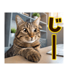 ねこ写真❤ポップで見やすい日常会話2（個別スタンプ：31）