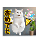 ねこ写真❤ポップで見やすい日常会話2（個別スタンプ：38）