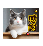 ねこ写真❤ポップで見やすい日常会話2（個別スタンプ：40）