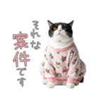 社会不適合 ハチワレ猫（個別スタンプ：4）
