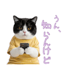 社会不適合 ハチワレ猫（個別スタンプ：7）
