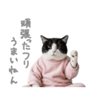 社会不適合 ハチワレ猫（個別スタンプ：11）