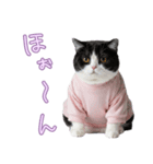 社会不適合 ハチワレ猫（個別スタンプ：12）