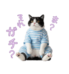 社会不適合 ハチワレ猫（個別スタンプ：18）