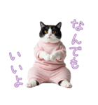 社会不適合 ハチワレ猫（個別スタンプ：19）