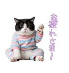 社会不適合 ハチワレ猫（個別スタンプ：21）