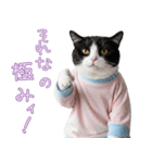 社会不適合 ハチワレ猫（個別スタンプ：23）
