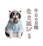 社会不適合 ハチワレ猫（個別スタンプ：25）