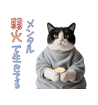 社会不適合 ハチワレ猫（個別スタンプ：31）