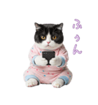 社会不適合 ハチワレ猫（個別スタンプ：33）